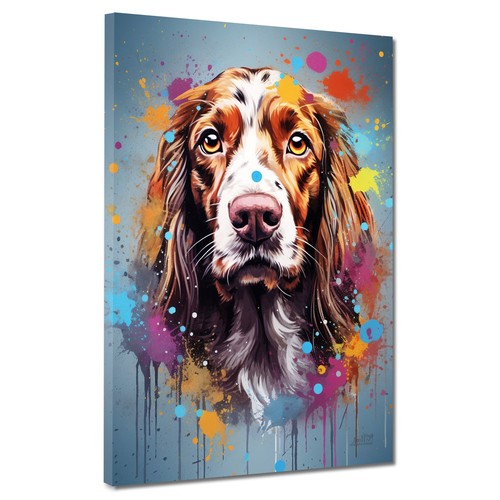 Hund cocker spaniel - cocker, pop