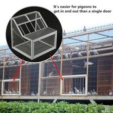 Taubenschlag Tür 50*47*50cm