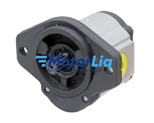 Hydraulikpumpe 510 725 - 0, 089