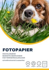 Fotopapier 10x15 cm DIN A4 128-240g/m² glänzend & matt beidseitig wasserfest