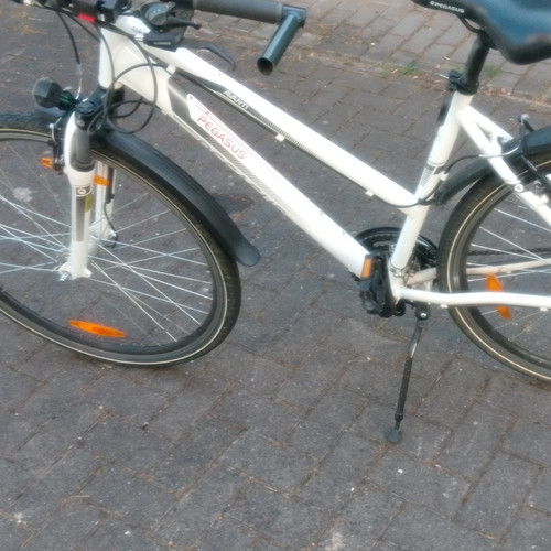 Pegasus avanti trekkingrad mit - trekkingrad,
