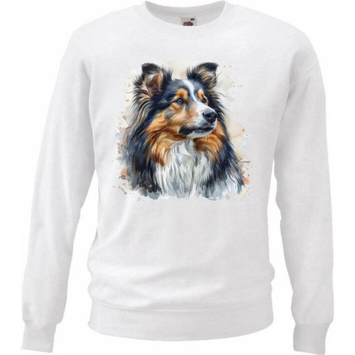 Sweatshirt sweater - sweatshirt,