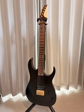 ESP Style Custom E-Gitarre