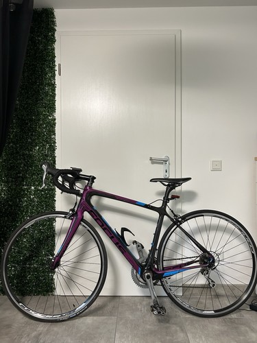 Focus izalco carbon - , rennrad
