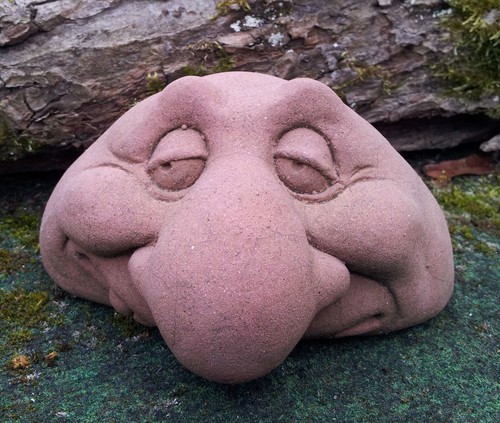 Steingesicht nose - steingesicht,