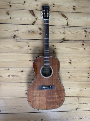 Takemine ef407 - takemine,