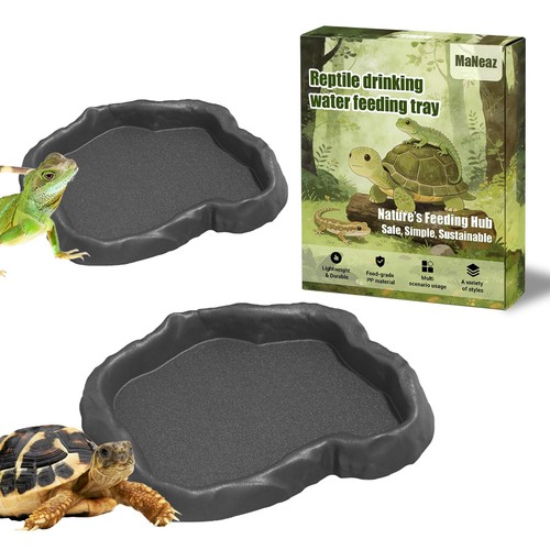 Schildkröten terrarium - schildkröten,