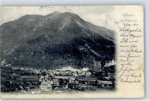 51586707 hollenstein - -,