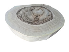 Nussbaum  Baumscheibe massiv