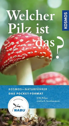 Welcher pilz ist das - ist, das?