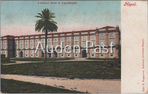 Napoli capodimonte - napoli,