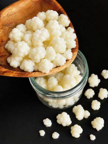Milchkefir knollen frisch - frisch, &