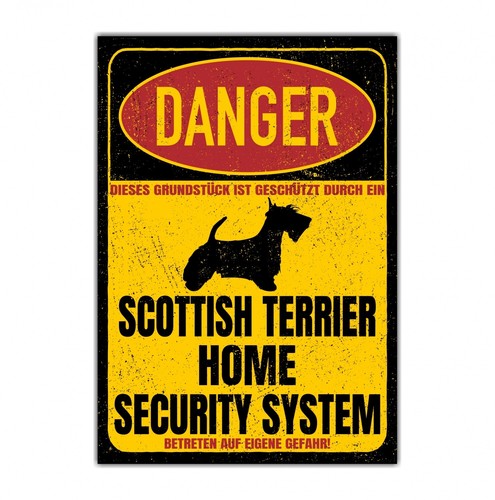Scottish terrier scottie - scottish,