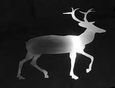 Edelstahl Rentier gelasert glatt