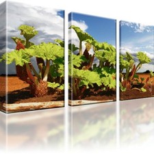 Pflanze Horizont Himmel Bild auf Leinwand mit Keilrahmen 3 Bilder