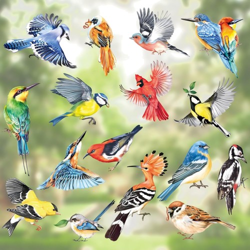 Fensterbilder vogel - fensterbilder,