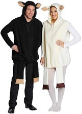 Weißes Schwarzes Schaf Lamm