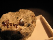 Zirkon xx (2) - Tvedalen, Norwegen