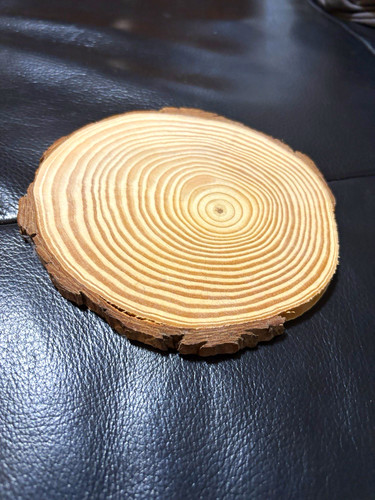 Holz untersetzer baumscheibe - holz-untersetzer,