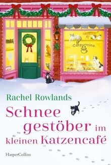 Schneegestöber kleinen - schneegestöber, im
