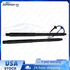 OEM 2PCS Rear Tailgate Power