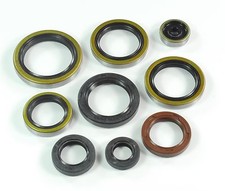 ATHENA Motor Simmerringsatz