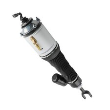 Federbein Luftfederung Vorne