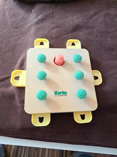 Karlie doggy brain - karlie, train