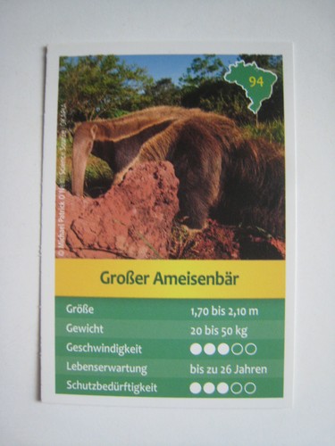 Entdecke brasilien - entdecke,