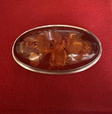 Bernstein Brosche 925er Silber