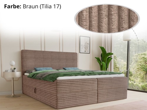 Boxspringbett mollo bett - mollo,