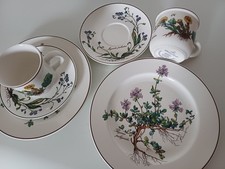 Villeroy & Boch Botanica Tasse