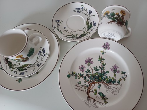 Villeroy boch botanica tasse - villeroy, &