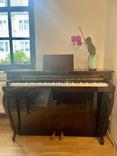 Klavier klaviano ferdinand - klavier,