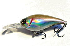 Shimano Yasei Cover Crank 50 F SR Wobbler, Crankbait, Kunstköder, 5cm, Floating