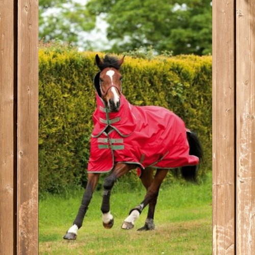 Horseware amigo hero - hero, pony