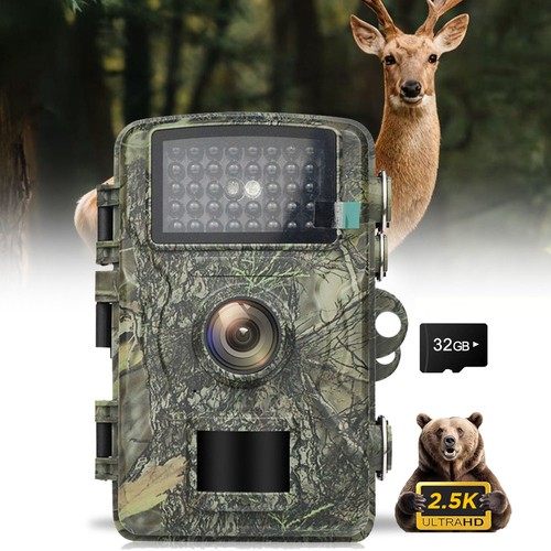 Wildkamera 24mp video - 24mp,