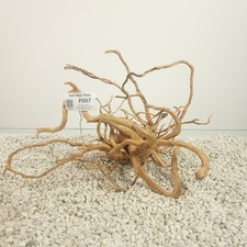 Treibholz für Aquarium