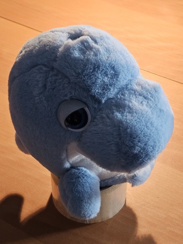 Penny delfin delphin - delfin,
