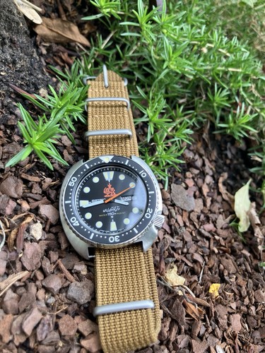 Seiko turtle 6309 modifiziert - turtle,