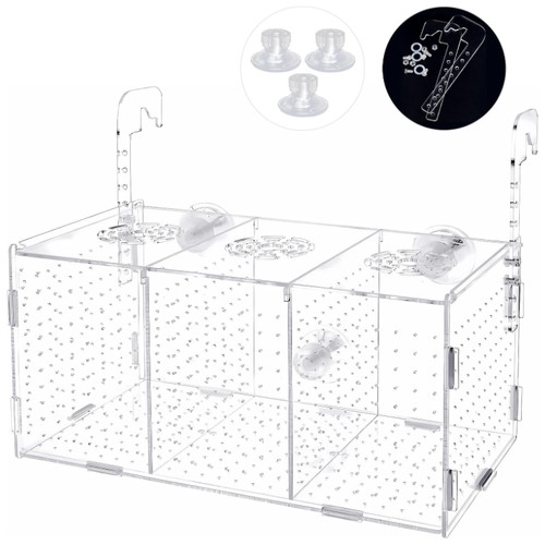Fischzuchtbox brüterei - fischzuchtbox,