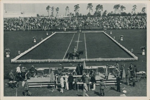 Sammelbild olympia 1936 - olympia,