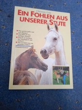 Ein Fohlen aus unserer Stute