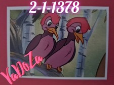 Abenteuer  Tierwelt  - Vögel