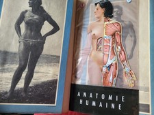 Neue illustrierte medizinische