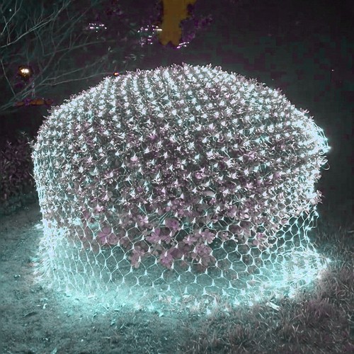 Led lichternetz lichtervorhang - lichternetz,