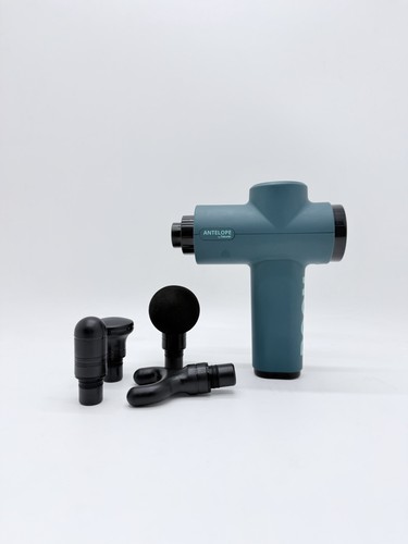 Antelope beurer boom - by,