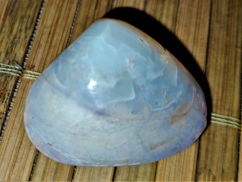 Muschelopal karat - muschelopal,