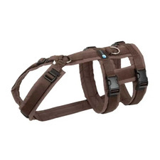 Anny X Geschirr Safety