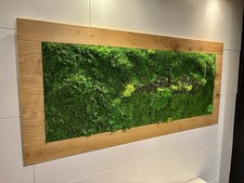 Moosbild 109x 50 cm Waldboden